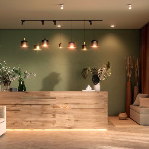 Build the Heal House